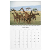afrikanische Safari 2025 groß Kalender (Mär 2027)