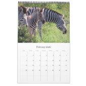 Afrikanische Safari Kalender (Feb 2026)