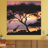 Afrikanische Safari Landschaft bei Sunset Canvas P Leinwanddruck (Insitu (Wohnzimmer))