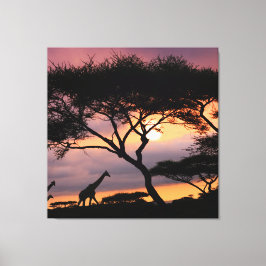 Afrikanische Safari Landschaft bei Sunset Canvas P Leinwanddruck