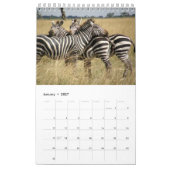 Afrikanische Safari - WILD LEBENDE TIERE Kalender (Jan 2027)