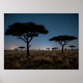 Afrikanische Savanne Akazienbäume Sterne Nachtland Poster