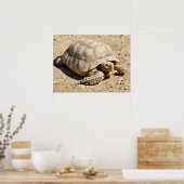 Afrikanische Schildkröte am Boden Poster (Küche)