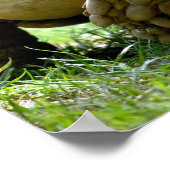 Afrikanische Schildkröte, die auf Gras-Postkarte s Poster (Ecke)