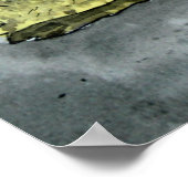 afrikanische Schildkrötenschildkrötenpanzer Poster (Ecke)