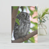 Afrikanische Scops-Eule schläft in einem Baum Dankeskarte (Stehend Vorderseite)