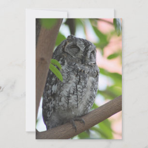 Afrikanische Scops-Eule schläft in einem Baum Dankeskarte