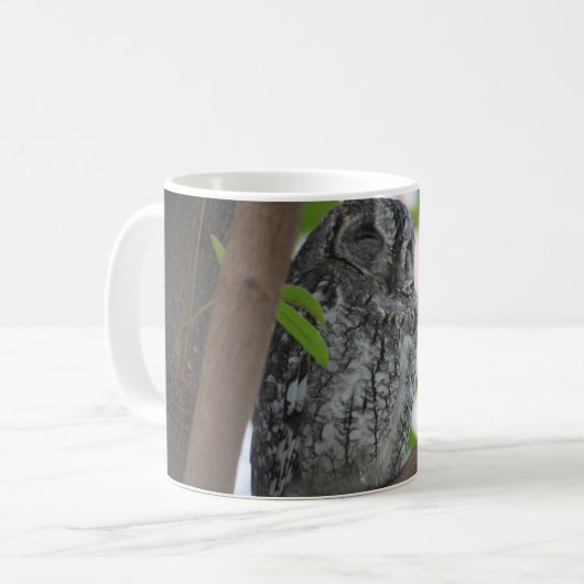 Afrikanische Scops-Eule schläft in einem Baum Kaffeetasse (Vorderseite Links)