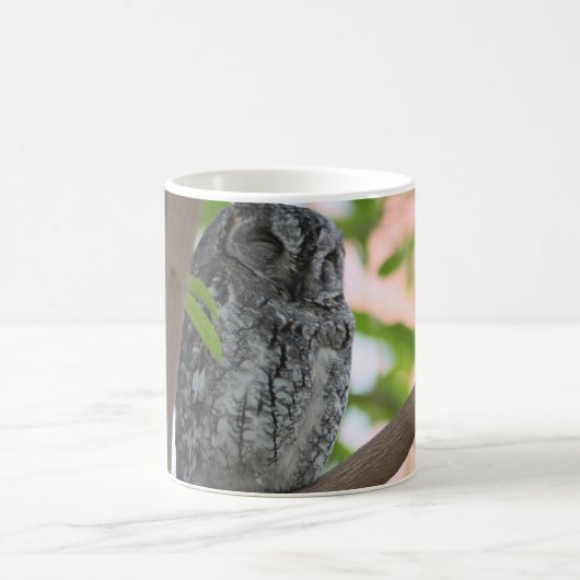 Afrikanische Scops-Eule schläft in einem Baum Kaffeetasse (Mittel)