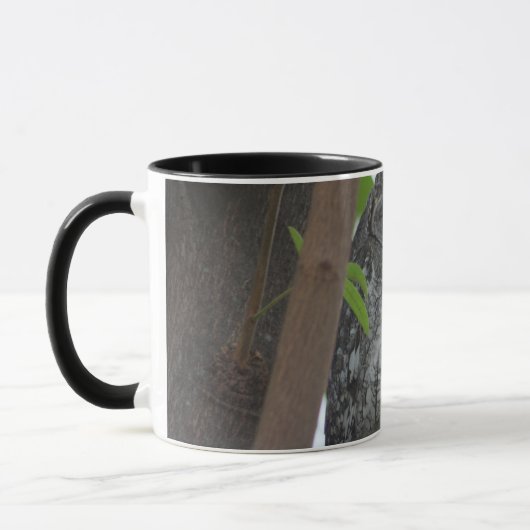 Afrikanische Scops-Eule schläft in einem Baum Tasse (Links)