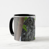 Afrikanische Scops-Eule schläft in einem Baum Tasse (Vorderseite Links)