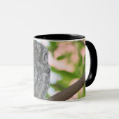 Afrikanische Scops-Eule schläft in einem Baum Tasse (VorderseiteRechts)