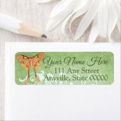 Afrikanische Seidenmotte (Insitu)