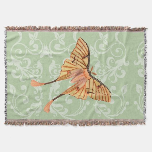 Afrikanische Seidenmotte Decke (Vorderseite)