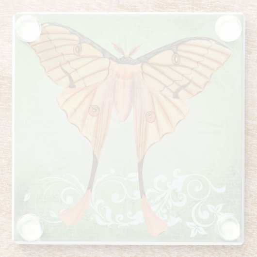 Afrikanische Seidenmotte Glasuntersetzer (Rückseite)