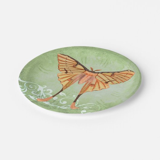 Afrikanische Seidenmotte Pappteller (Schrägansicht)