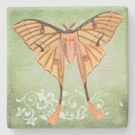 Afrikanische Seidenmotte Steinuntersetzer (Vorderseite)