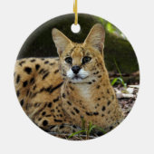 Afrikanische Serval-Weihnachtsverzierung Keramikornament (Hinten)