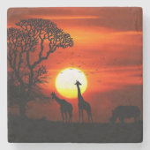 Afrikanische Steinuntersetzer (Vorderseite)