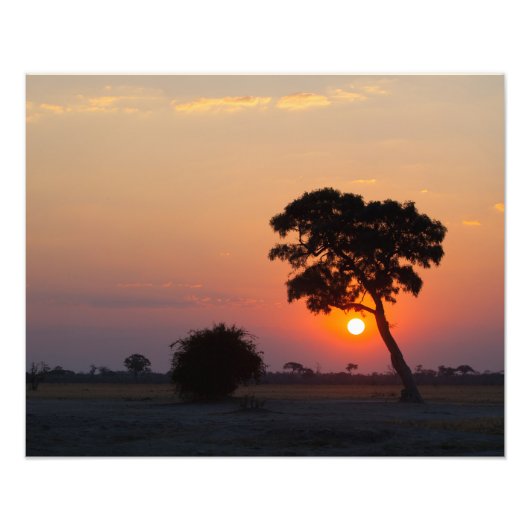 Afrikanische Sunrise Fotodruck (Vorne)