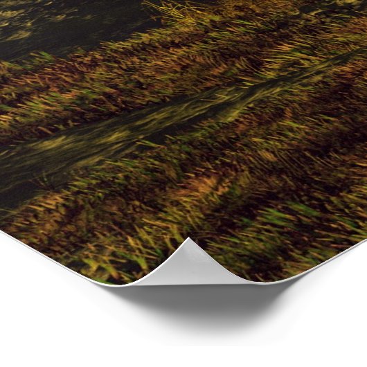 Afrikanische Sunrise Poster (Ecke)