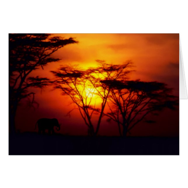 Afrikanische Sunset Card (Vorderseite (Horizontal))