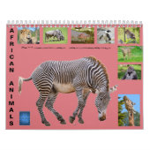 Afrikanische Tiere 12 Monate Kalender (Titelbild)