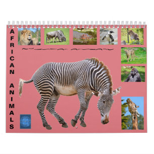 Afrikanische Tiere 12 Monate Kalender