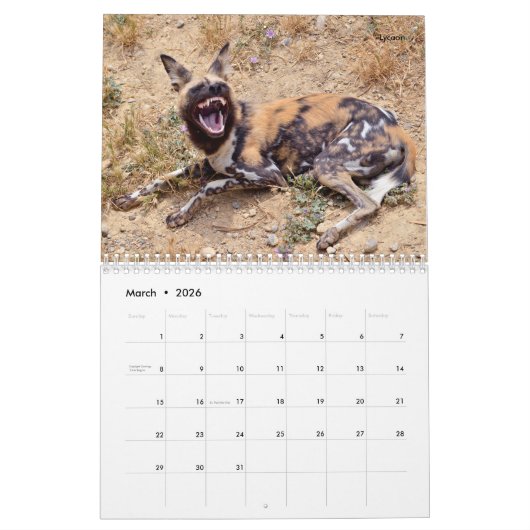 Afrikanische Tiere 12 Monate Kalender (Mär 2026)