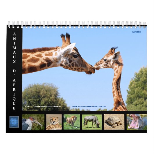Afrikanische Tiere 12 Monate Kalender (Titelbild)