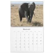 afrikanische Tiere 2025 großer Kalender (Mär 2027)