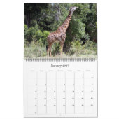 afrikanische Tiere 2025 großer Kalender (Jan 2027)