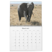 afrikanische Tiere 2025 Kalender (Mär 2027)
