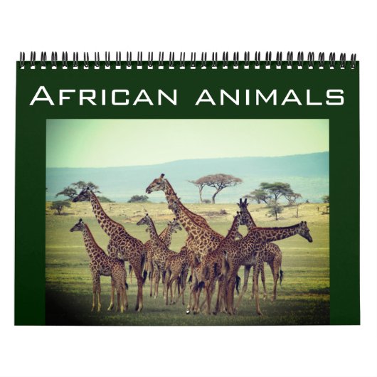 afrikanische Tiere 2025 Kalender (Titelbild)