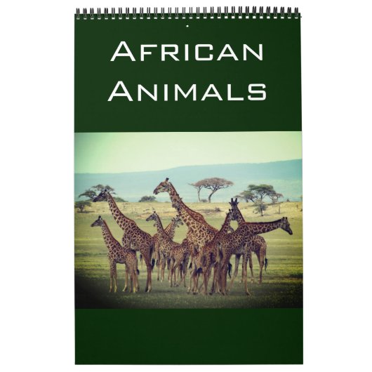 afrikanische Tiere 2025 Kalender (Titelbild)