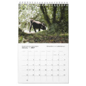 Afrikanische Tiere der nächsten Generation (Single Kalender (Jan 2027)