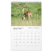 Afrikanische Tiere der nächsten Generation (Single Kalender (Feb 2027)