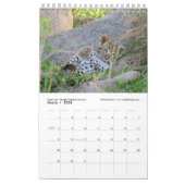 Afrikanische Tiere der nächsten Generation (Single Kalender (Mär 2026)
