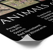 Afrikanische Tiere Poster (Ecke)