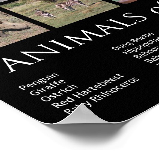 Afrikanische Tiere Poster (Ecke)