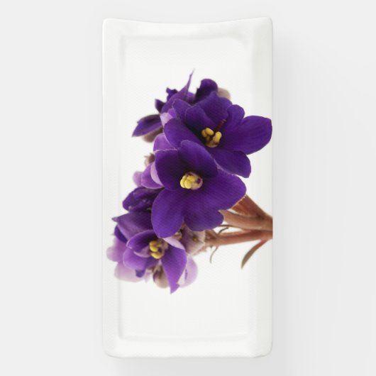 Afrikanische Violet Banner (Vertikal)