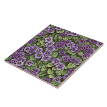afrikanische Violet-Blume