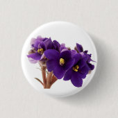 Afrikanische Violet Button (Vorderseite)