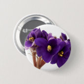 Afrikanische Violet Button (Vorne & Hinten)