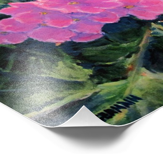 afrikanische Violet Fotodruck (Ecke)