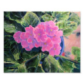 afrikanische Violet Fotodruck (Vorne)