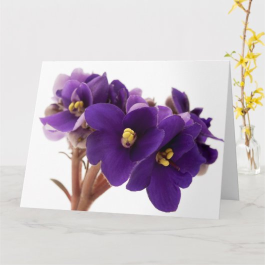 Afrikanische Violet Karte (Gelbe Blume)