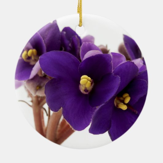 Afrikanische Violet Keramik Ornament (Hinten)
