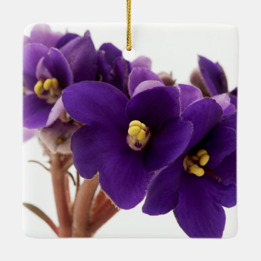 Afrikanische Violet Keramikornament (Rückseite)