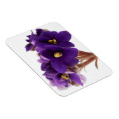 Afrikanische Violet Magnet (Rechte Seite)